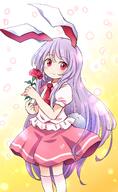 1 1_female female himekaidou_hatate pote_(ptkan) ptkankodori reisen_udongein_inaba touhou ぽて まとめ 丁礼田舞 宇佐見菫子 爾子田里乃 // 980x1600 // 899.0KB