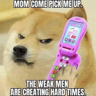 hard_times meme reaction weak_men // 800x796 // 58.5KB