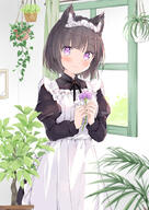 1girl ame27 animal_ears apron bangs black_dress black_hair black_ribbon blush cat_ears closed_mouth commentary_request day dress eyebrows eyebrows_visible_through_hair female ffdp-neko flower fluffy_neko_maid_[original] holding holding_flower indoors juliet_sleeves kemonomimi komugi_(wataame27) long_sleeves looking_at_viewer maid maid_apron maid_headdress maid_outfit neck_ribbon nekomimi original pixiv plant potted_plant puffy_sleeves purple_eyes purple_flower ribbon safe short_hair smile solo wataame27 white_apron window お部屋 わたあめ オリジナル 女の子 猫耳 猫耳メイド // 752x1062 // 464.4KB