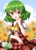 1girl ascot blush buttons clothing collared_shirt eyebrows_visible_through_hair female flower green_hair hair_between_eyes high_resolution kazami_yuuka open_mouth plaid plaid_skirt plaid_vest red_eyes red_skirt red_vest ruu_(tksymkw) shirt short_hair short_sleeves skirt sky smile solo touhou touhou_project umbrella upper_body vest white_shirt yellow_ascot // 1000x1400 // 1.0MB