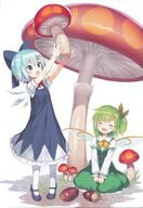 2girls ^_^ ^o^ absurd_resolution absurdres acorn adapted_costume alternate_costume asymmetrical_hair bangs blue_bow blue_dress blue_eyes blue_footwear blue_hair blue_headwear blush bow bows_(fashion) bowtie capriccio capriccioso cirno closed_eyes comic_market comic_market_91 daiyousei dress duo eyebrows eyebrows_visible_through_hair eyes_closed fairy_wings female fly_agaric footwear frilled_dress frills frilly_dress full_body giant_mushroom green_hair green_outerwear green_skirt green_vest hair_between_eyes hair_bow hair_ornament hair_ribbon happy head_tilt hibana_(artist) hibana_(capricio) high_resolution highres holding holding_mushroom ice ice_wings juliet_sleeve knee-high_legwear knee_highs kneehighs lolibooru lolibooru.moe long_sleeves mary_janes mature mobile multiple_females multiple_girls mushroom o on_ground open_mouth outstretched_arm outstretched_arms ponytail puffy_long_sleeves puffy_sleeves red_neckwear red_ribbon ribbon safe scan seiza shirt shoes short_hair short_sleeves side_ponytail side_tail simple_background sitting skirt smile source_request standing standing_on_tip_toes tied_hair tiptoes toes touhou touhou_project two_girls unusual_wings very_high_resolution vest wallpaper white_background white_legwear white_shirt wings yellow_bow yellow_bowtie yellow_neckwear yellow_ribbon // 2083x3023 // 2.7MB