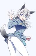 1girl absurdres animal_ears ass bangs belt blue_belt blue_eyes blue_jacket commentary eila_ilmatar_juutilainen eyebrows_visible_through_hair fox_ears fox_tail from_side grey_background highres jacket kogarashi51 leaning_forward long_hair long_sleeves looking_at_viewer looking_back military military_uniform multiple_girls no_pants open_mouth pantyhose pouch safe silver_hair simple_background smile solo standing strike_witches tail uniform waving white_legwear world_witches_series // 1650x2560 // 314.0KB