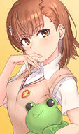 1girl breasts brown_eyes brown_hair brown_sweater brown_sweater_vest brown_vest collared_shirt dress_shirt emblem flower gekota general gradient_background hair_flower hair_ornament hairclip medium_hair misaka_mikoto raika9 school_emblem school_uniform shirt short_hair sleeveless sleeveless_sweater small_breasts solo stuffed_animal stuffed_frog stuffed_toy summer_uniform sweater sweater_vest toaru_kagaku_no_railgun toaru_majutsu_no_index tokiwadai_school_uniform twitter_username upper_body vest white_shirt yellow_background // 641x1087 // 387.3KB