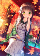 1girl ama_usa_an_uniform apron autumn_leaves blush book brown_hair chinomaron closed_mouth commentary_request duplicate dutch_angle feet_out_of_frame frilled_apron frills gochuumon_wa_usagi_desu_ka? green_eyes green_kimono hand_up highres japanese_clothes kimono leaf long_hair long_sleeves maid_apron maple_leaf open_book pixel-perfect_duplicate polka_dot safe signature sitting smile solo striped striped_kimono tree ujimatsu_chiya vertical-striped_kimono vertical_stripes very_long_hair water white_apron wide_sleeves // 1059x1500 // 1.1MB