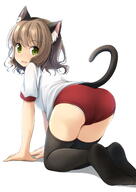 1_female 1girl all_fours animal_ear_fluff animal_ears animal_tail ass black_legwear brown_hair buruma cat_ears cat_tail commentary_request d ears fang female from_behind green_eyes gym_uniform high_resolution highres legwear looking_at_viewer looking_back mature may medium_hair no_shoes open_mouth original panties panties_under_buruma panty_peek photoshop_(medium) pixiv_24946865 pixiv_70300302 pov red_buruma safe shibacha shibacha_0728 shirt smile solo tail thigh-highs thighhighs underwear uniform white_panties white_shirt おしり_-_二次元裏＠ふたば ブルマにゃぁ 柴茶(しばちゃ) // 1063x1500 // 372.8KB