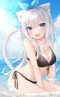 1girl animal_ears between_legs bikini black_bikini blue_eyes breasts cat_ears cat_tail cleavage d fang hairband hand_between_legs in_water large_breasts long_hair looking_at_viewer nekomimi open_mouth original partially_submerged questionable ringouulu safe silver_hair skin_fang smile swimsuit swimsuits tail very_long_hair water wet // 1260x2030 // 1.9MB