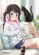 1girl 2 2d_art 3 absurdres animal bangs black_cat black_hair black_shorts blue_eyes blurry blurry_foreground blush cat cellphone closed_mouth clothing commentary_request couch curtains depth_of_field dolphin_shorts earbuds earphones female general grey_jacket headpat headphones highres jacket long_hair nedia_(nedia_region) nedia_r neko on_couch open_clothes open_jacket original petting phone pillow pixiv pixiv_100382451 pixiv_4072067 plant potted_plant purple_shirt s safe shirt short_shorts shorts smile solo tied_hair twintails window ねでぃあ ぱんつ わきあせちゃん オリジナル パリピ孔明 ブルーアーカイブ 乾紗寿叶 水着 溜まった絵とか 着せ恋 腋見せ衣装 // 3541x5016 // 5.2MB