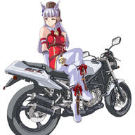 1girl ;) animal_ears bangs blunt_bangs boots brown_headwear clothing crossed_legs female footwear general gloves gold_ship_(uma_musume) gold_ship_(umamusume) grey_hair ground_vehicle hal-py horse_ears horse_girl legwear long_hair looking_at_viewer motor_vehicle motorcycle one_eye_closed pantyhose pillbox_hat red_eyes s simple_background sitting smile solo uma_musume_-_pretty_derby umamusume vehicle white_background white_footwear white_gloves white_legwear white_pantyhose wink yamaha // 900x900 // 412.6KB