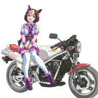 1girl animal_ears blue_ribbon brown_hair clothing d ear_bow female full_body general ground_vehicle hal-py honda horse_ears horse_girl horse_tail legwear looking_at_viewer motor_vehicle motorcycle multicolored_hair open-mouth_smile open_mouth purple_eyes purple_footwear ribbon s short_hair sidelocks sitting smile solo special_week_(uma_musume) special_week_(umamusume) tail thigh-highs thighhighs two-tone_hair uma_musume_-_pretty_derby umamusume vehicle violet_eyes white_hair white_legwear // 900x900 // 422.4KB