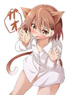 1_female 1girl animal_ears blush brown_eyes brown_hair cat_ears commentary_request ears female invalid_subtag__1" mature misaka_mikoto mukunoki_nanatsu naked_shirt questionable raildex shirt solo" to_aru_kagaku_no_railgun to_aru_majutsu_no_index toaru_kagaku_no_railgun toaru_majutsu_no_index // 609x860 // 79.5KB