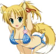10s 1_female absurd_resolution absurdres animal_ears animal_tail bare_shoulders bikini blonde_hair blue_eyes breasts cleavage deviantart_thumbnail dog_days ears ecchi female fox_ears high_resolution highres kitsune large_breasts long_hair looking_at_viewer mature mythical navel open_mouth ponytail ribbon safe solo swimsuit tail tied_hair transparent_background vector vector_trace yande.re yukikaze_panettone // 4944x4708 // 2.0MB