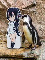 kemono_friends penguin // 1440x1920 // 3.1MB