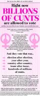 feminism infographic memes pol // 428x1024 // 115.5KB