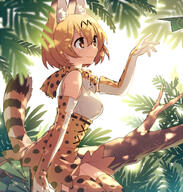animal_ears kemono_friends serval tail // 630x660 // 457.3KB