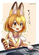 animal_ears kemono_friends serval tail // 765x1061 // 78.8KB