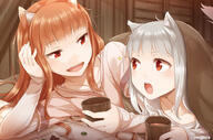 animal_ears holo spice_and_wolf wolf_ears // 1000x661 // 233.1KB