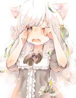 1_female animal_ears bangs blunt_bangs blush bow bowtie crying daisy dress ears eyebrows_visible_through_hair female flower green_ribbon grey_dress grey_eyes hair_ornament hair_ribbon hands_on_own_face kuga_tsukasa long_hair looking_at_viewer one_eye_closed open_mouth original point_of_view polka_dot_neckwear puffy_short_sleeves puffy_sleeves ribbon safe sankaku_channel short_sleeves solo tears unmoving_pattern white_hair // 783x1000 // 1.0MB