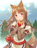 1_female animal_ears animal_tail apple bangs blush bomhat brown_eyes brown_hair cowboy_shot ears eyebrows_visible_through_hair female food fruit holding holding_food holding_fruit holding_object holo looking_at_viewer point_of_view safe sankaku_channel sash smile solo spice_and_wolf tail tree wolf_ears wolf_tail // 600x771 // 746.7KB