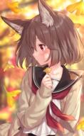 1_female 2d animal_ear_fluff animal_ears anime anime_girls artwork autumn bangs black_sailor_collar blurry blurry_background bob_cut brown_cardigan brown_hair brs0811 cardigan collarbone commentary_request day depth_of_field digital_media ears explicit eyebrows_visible_through_hair falling_leaves female fox_ears ginkgo_leaf high_resolution holding holding_leaf jimmy leaf long_sleeves looking_away looking_to_the_side neckerchief open_cardigan open_clothes original original_character outside portrait_display red_eyes red_neckwear safe sailor_collar sailor_uniform school_uniform schoolgirl_uniform seifuku serafuku shirt short_hair sleeves_past_wrists solo sweater tagme uniform upper_body vertical white_shirt yande.re ミディアムヘア 秋色きつね 銀杏 // 1181x1928 // 2.4MB
