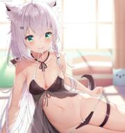 1 1_female 1girl action ahoge animal_ear_fluff animal_ears animal_humanoid animal_tail arm_support ass babydoll bangs bare_shoulders black_clothing black_panties black_underwear blurry blurry_background blush bra braid breasts canid canid_humanoid canine canine_humanoid chintora0201 cleavage clothing collarbone commentary danbooru depth_of_field duplicate ear_piercing ears english_commentary eyebrows eyebrows_visible_through_hair eyes female fox_ears fox_girl fox_humanoid fox_tail fubuki fur garter gelbooru genitalia green_eyes hair hair_between_eyes hair_ornament hairpin heart heart_in_eye high_resolution highres hololive humanoid inner_ear_fluff inside jewelry light lingerie loli_face long_hair looking_at_viewer lying mammal mammal_humanoid medium_breasts mismatched_ears mole_on_pussy mouth_hold navel neck nightwear on_side panties panty_pull piercing questionable sankaku see-through shirakami_fubuki shirakami_fubuki_channel shoulders side-tie side-tie_panties single_earring solo stomach sunlight symbol_in_eye tail thigh_strap tied_hair tuft underwear undressing vagina very_long_hair virtual_youtuber white_hair window yande.re young パンツに手 白上フブキ // 1348x1435 // 1.7MB