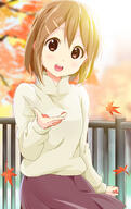 1_female 1girl autumn_leaves brown_eyes brown_hair brown_skirt explicit eyes face facial_expression female hair hair_ornament hairclip hirasawa_yui k-on! kisuke_(akutamu) leaf long_skirt looking_at_viewer open_mouth point_of_view railing round_teeth safe short_hair skirt smile solo standing standing_position sweater teeth topwear // 629x1000 // 164.9KB
