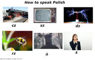 how_to_speak_polish learning_polish memes // 1280x815 // 470.3KB
