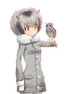 10s 1_female 1girl animal avian bad_id bad_pixiv_id bird buttons commentary_request creature_and_personification explicit eyebrows eyebrows_visible_through_hair female fur fur_collar grey_hair hair hair_between_eyes ichihyaku_nanajuu kemono_friends long_sleeves multicolored_hair northern_white-faced_owl northern_white-faced_owl_(kemono_friends) owl safe short_hair white_hair wings yellow_eyes // 753x1000 // 114.7KB