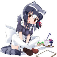 animal_ears common_raccoon ears female kemono_friends legwear maid makuran tail thigh-highs thighhighs // 1600x1600 // 1014.7KB