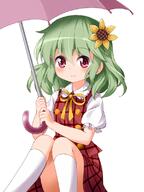1_female eyebrows eyebrows_visible_through_hair female flower flower_(flowers) girl green_hair hair_flower hair_ornament kazami_yuuka knee_highs light_smile long_hair looking_at_viewer mature plaid plaid_skirt plaid_vest pov puffy_short_sleeves puffy_sleeves red_eyes ruu_(tksymkw) short_hair short_sleeves simple_background single sitting skirt skirt_set smile socks solo sunflower_hair_ornament tall_image touhou umbrella vest white_background white_legwear white_socks younger // 600x800 // 272.4KB