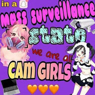 cam_girls mass_surveillance memes // 750x749 // 174.6KB