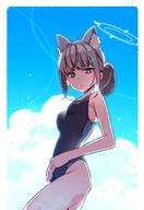 1girl animal_ear_fluff animal_ears bad_id bad_twitter_id bangs black_one-piece_swimsuit black_swimsuit blue_archive blue_eyes blue_sky breasts cloud competition_swimsuit cowboy_shot cross_hair_ornament extra_ears grey_hair hair_ornament halo highres low_ponytail medium_hair mismatched_pupils multicolored_clothes multicolored_swimsuit one-piece_swimsuit sensitive shiroko_(blue_archive) shiroko_(swimsuit)_(blue_archive) sky small_breasts solo swimsuit yoru_nai // 1218x1771 // 153.3KB