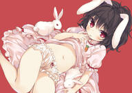 1_female 1girl 20170610 animal animal_ears bad_id bad_pixiv_id black_hair bloomers brown_hair bunny bunny_ears bunny_girl carrot carrot_necklace clothes_lift contentious_content dress dress_lift ears female female_only floppy_ears hagemirei hand_on_own_face hym9594 inaba_tewi jewellery jewelry konachan.com lagomorph lingerie loli lolibooru lolibooru.moe looking_at_viewer male mammal mature mirei navel necklace panties pantsu point_of_view pov questionable rabbit rabbit_ears red_background red_eyes safe sankaku_channel shirt shirt_lift short_hair skirt skirt_lift stomach team_shanghai_alice top_lift touhou touhou_project touhou_project_1000_users underwear vegetable white_bloomers white_panties white_underwear young おへそ てゐちゃん へそ みれい みれい@2日目西ａ62a エロゐ ドロワーズ 因幡てゐ 撫で回したいお腹 東方 東方project 東方project1000users入り // 1100x779 // 554.2KB