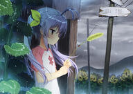 1_female 1girl antenna_hair arthropod blush bug bus_stop cattail cloud clouds commentary commentary_request female flower hair_ribbon insect ladybug long_hair mature miyauchi_renge mountain non_non_biyori outdoors outside plant power_lines purple_hair raglan_sleeves rain red_eyes ribbon road_sign safe scenery short_sleeves sign solo sunflower telephone_pole tied_hair twintails utility_pole wet wet_clothes zimajiang // 900x636 // 479.7KB