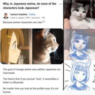 anime cat memes // 460x458 // 287.4KB