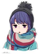 1_female 1girl artist_name black_headwear blue_hair bobblehat coat cropped_torso dated female frown gelbooru green_coat half-closed_eyes horikou long_hair looking_at_viewer multicolored multicolored_clothes multicolored_scarf open_mouth portrait purple_eyes safe scarf sensitive shima_rin sidelocks signature simple_background solo striped striped_scarf violet_eyes white_background yuru_camp yurucamp // 800x1081 // 89.2KB